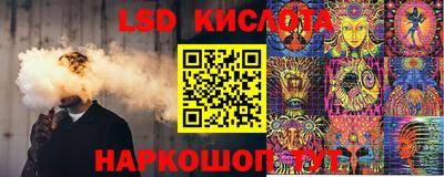гидра Нальчик