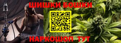 гидра Нальчик