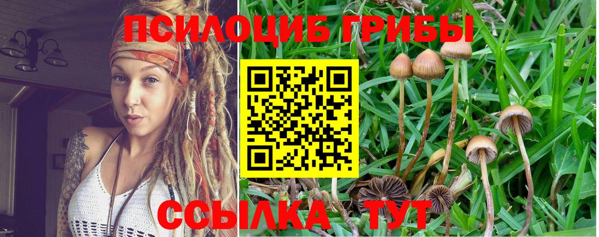 Галлюциногенные грибы MAGIC MUSHROOMS Тельмана